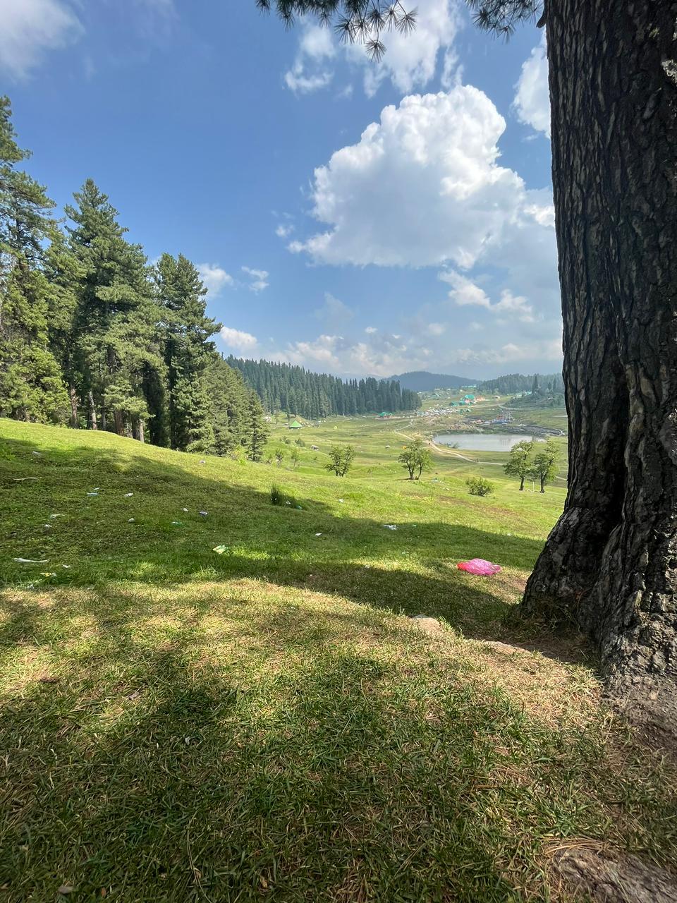 Green valley landscape in Kashmir
